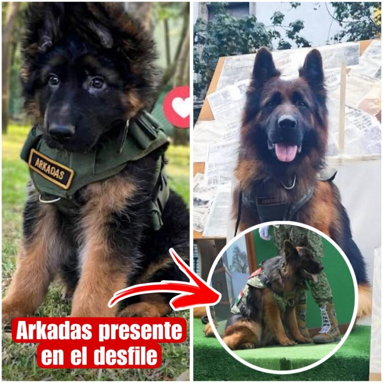 FB_IMG_1758075227575