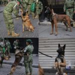 FB_IMG_1758117275300