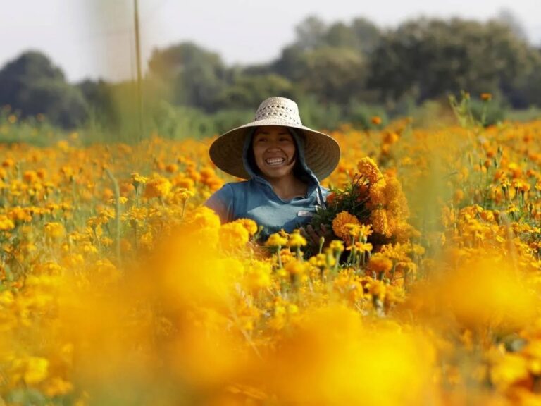 FB_IMG_1761184727420