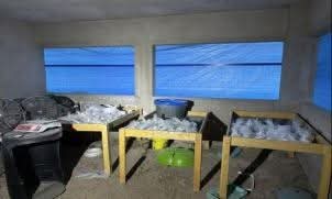 FB_IMG_1763397388793