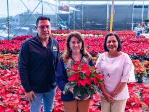 Impulsa Gobierno de la tierra que nos une una intensa promoción para la venta de Flor Nochebuena rumbo a la temporada decembrina 