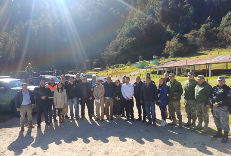 WhatsApp Image 2025-12-05 at 2.40.42 PM (1)